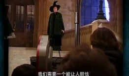 哈利近期爆料视频,揭秘幕后真相与惊人内幕